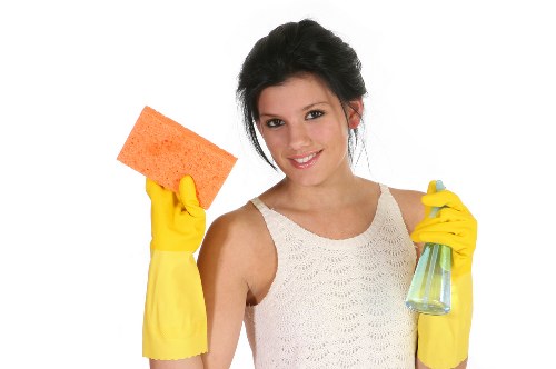 Specialist pet odour treatment for home carpets in Merton Park