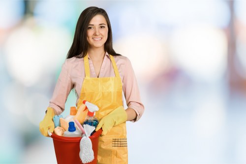 Professional carpet care in a Merton Park property