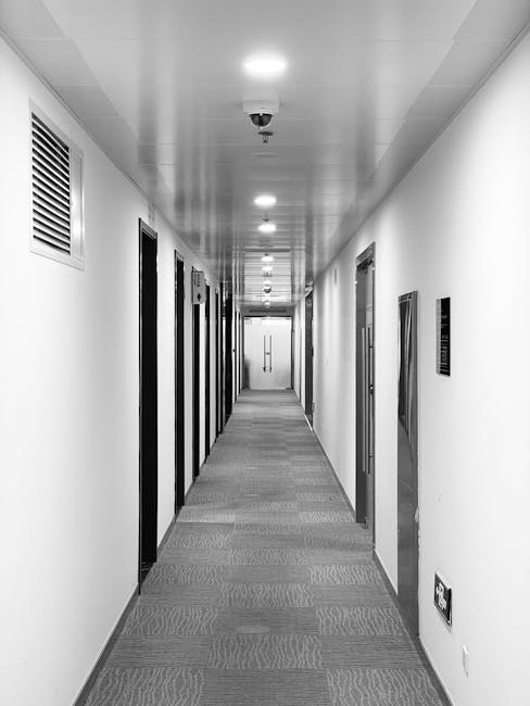 A clean and well-lit corridor in a commercial building featuring a grey carpeted floor with a subtle textured pattern, white walls with several doorways, and a white ceiling with evenly spaced recesse
